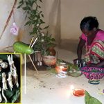 कुवाँर १४ गते थारु समुदायके ढिकरहुवा