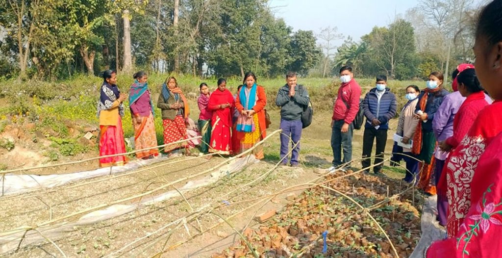 अर्गानिक तरकारी खेतीके उपलब्धी अनुगमन