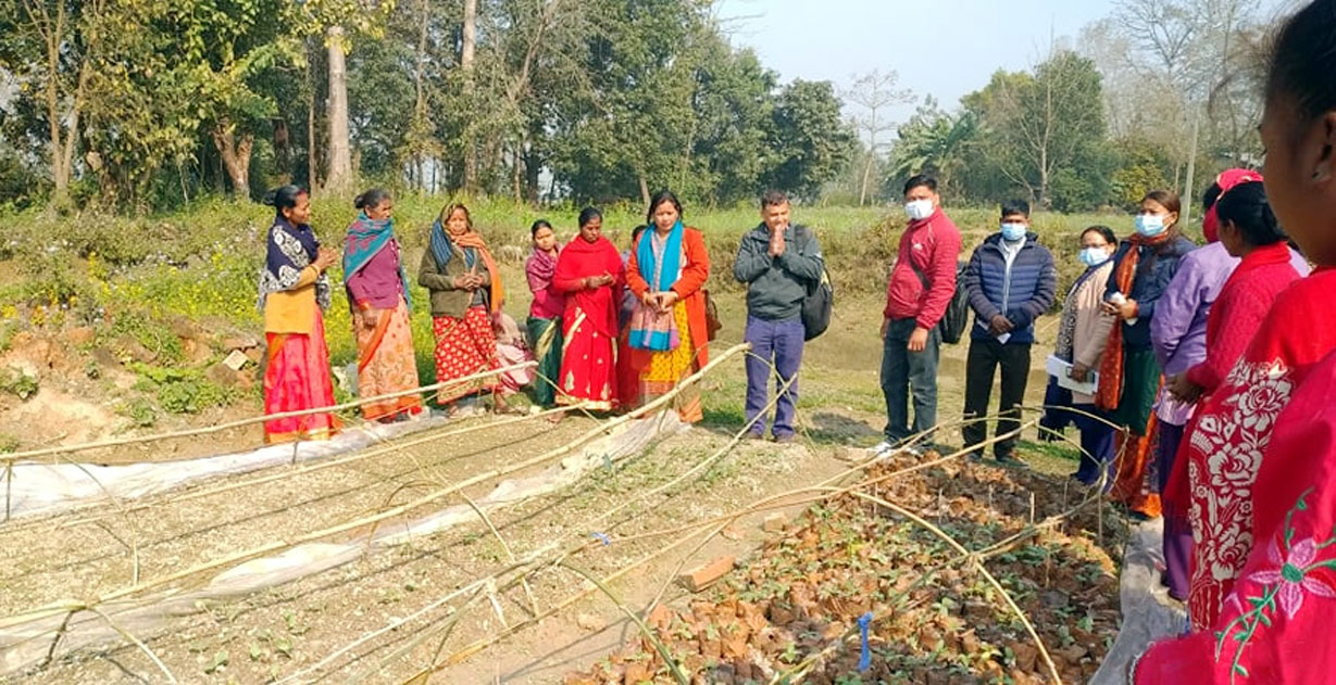 अर्गानिक तरकारी खेतीके उपलब्धी अनुगमन