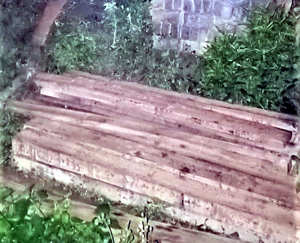 अवैध सालके काठ बरामद