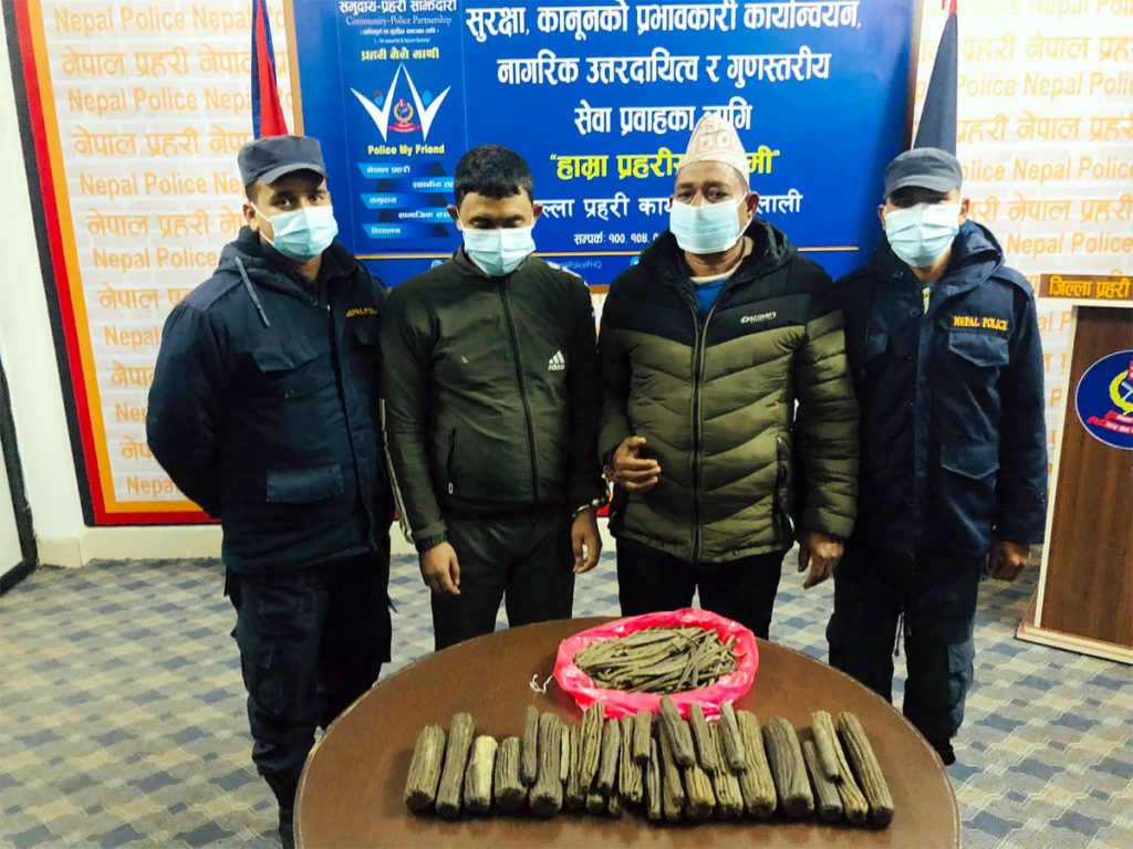 साढे चार किलो चरेससहित दुई पक्राउ