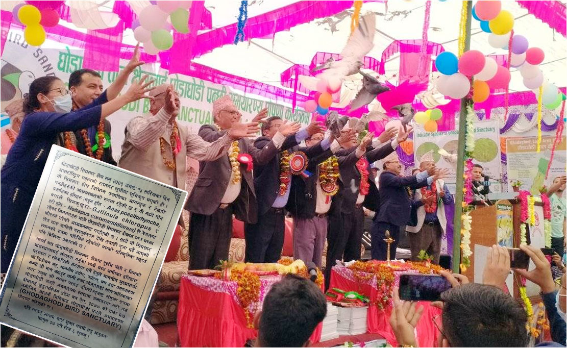 घोडाघोडीहे वर्ड सेन्चुरी घोषणा