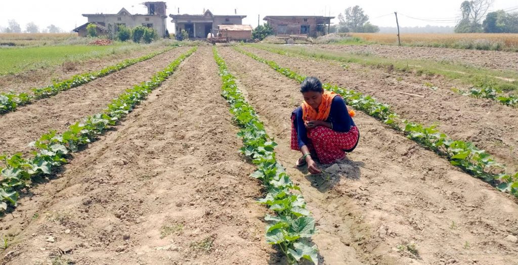 व्यावसायिक टिना खेटीमे पथरीवासी