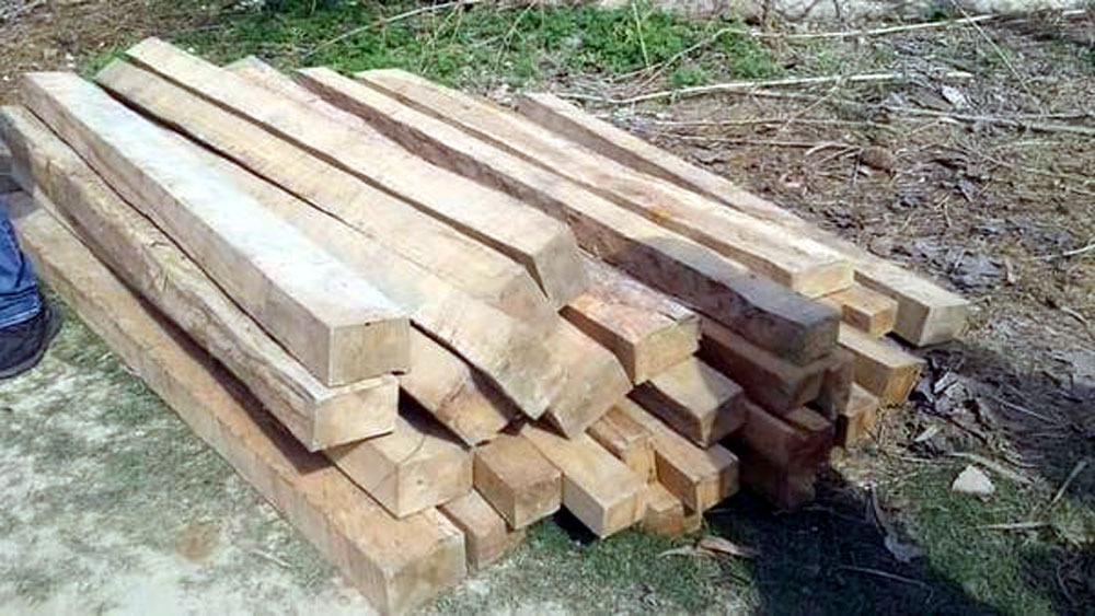 अवैध काठसहित एक पक्राउ