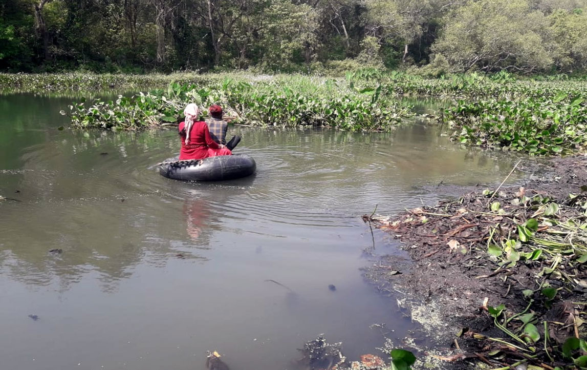 प्यारा टलुवा चैनार हुइल लागल