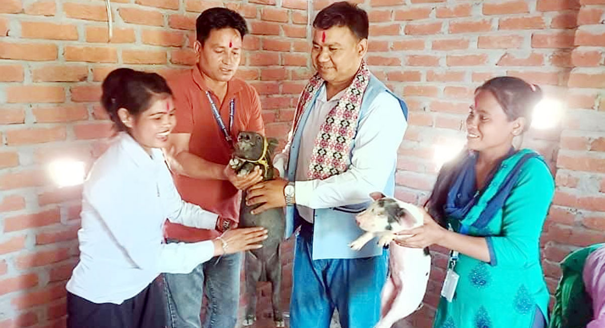 मुक्त कमलहरी महिलन्हे सुरिक बच्चा डेगैल