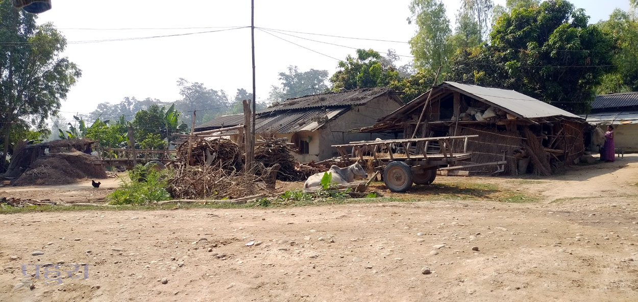 चिन्तामे मोहनपुर गाउँ