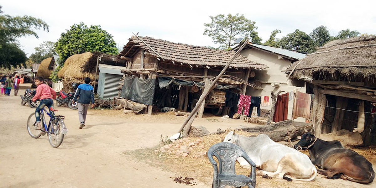 भारतीय वनकर्मीनसे सीमावर्ती गाउँके स्थानीयहे ज्यादति