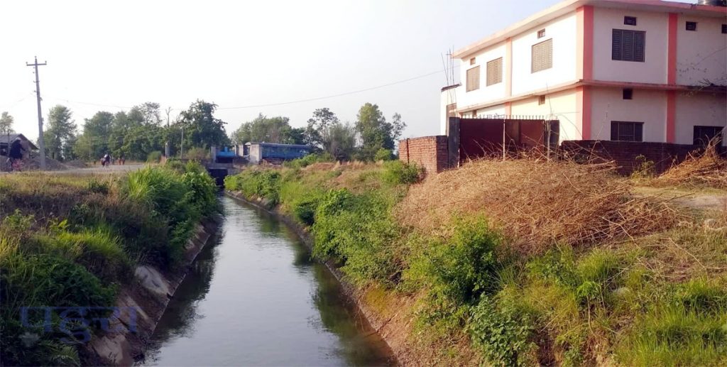 टेंढी बँढुवक् पानी कृषिमे लगानी