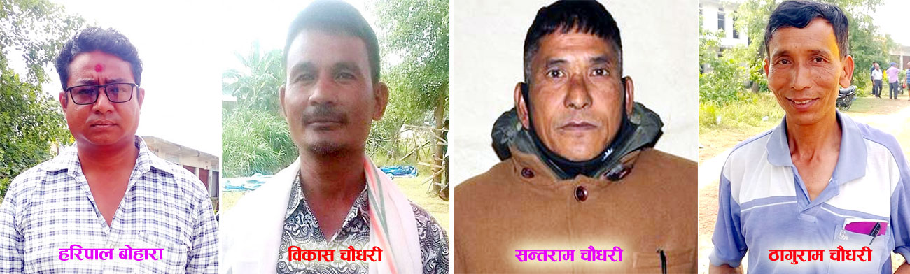 कैलारीके ४ वडामे नेपाली काँग्रेसके प्यानल विजयी