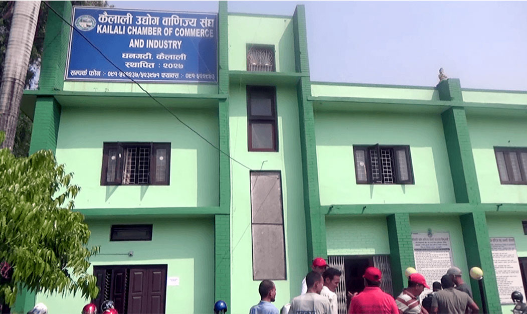 कुवँर ओ राठी प्यानल भिरटी