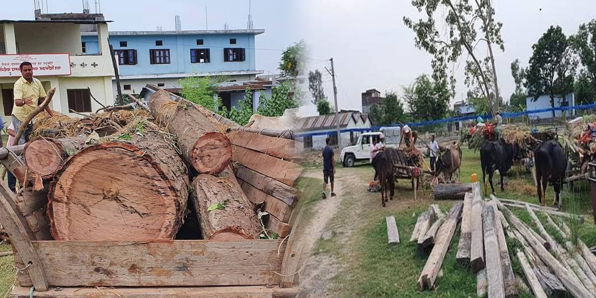 सात गोरुगाडा सहित ३० थान सालके गोलिया बरामद