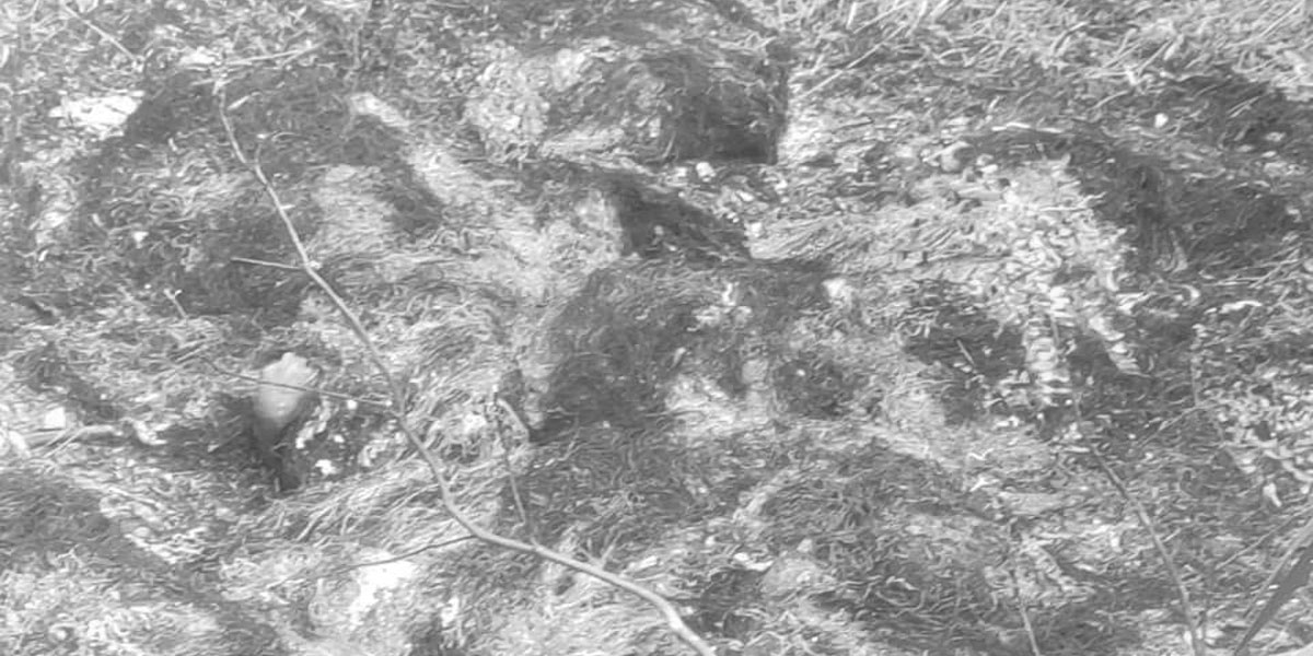 आगी लगाके एकल महिलाके हत्या, २ जाने पक्राउ