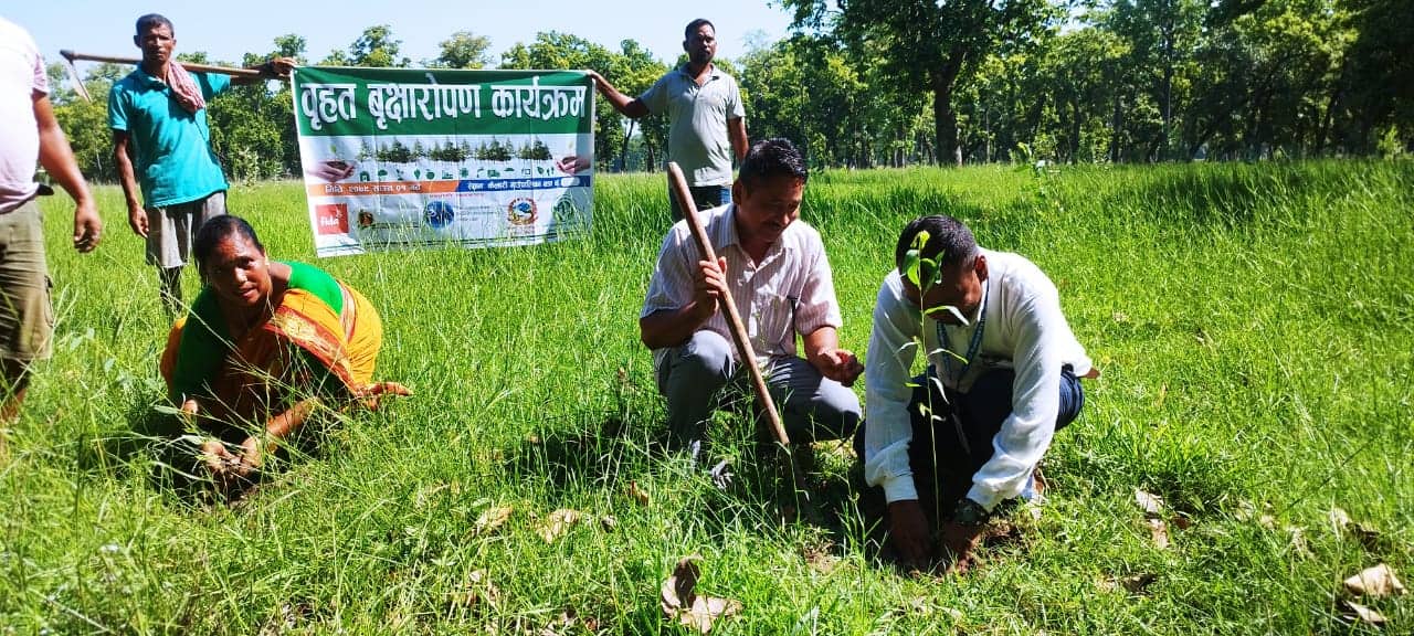 कैलारीके ठेपरिन्ह्यामे वृहत बृक्षारोपण कार्यक्रम सुरु
