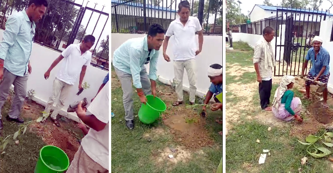 स्वर्गीय गिरिजाप्रसाद कोइरालाके ९९ औं जन्मजयन्तीके अवसरमे वृक्षारोपण