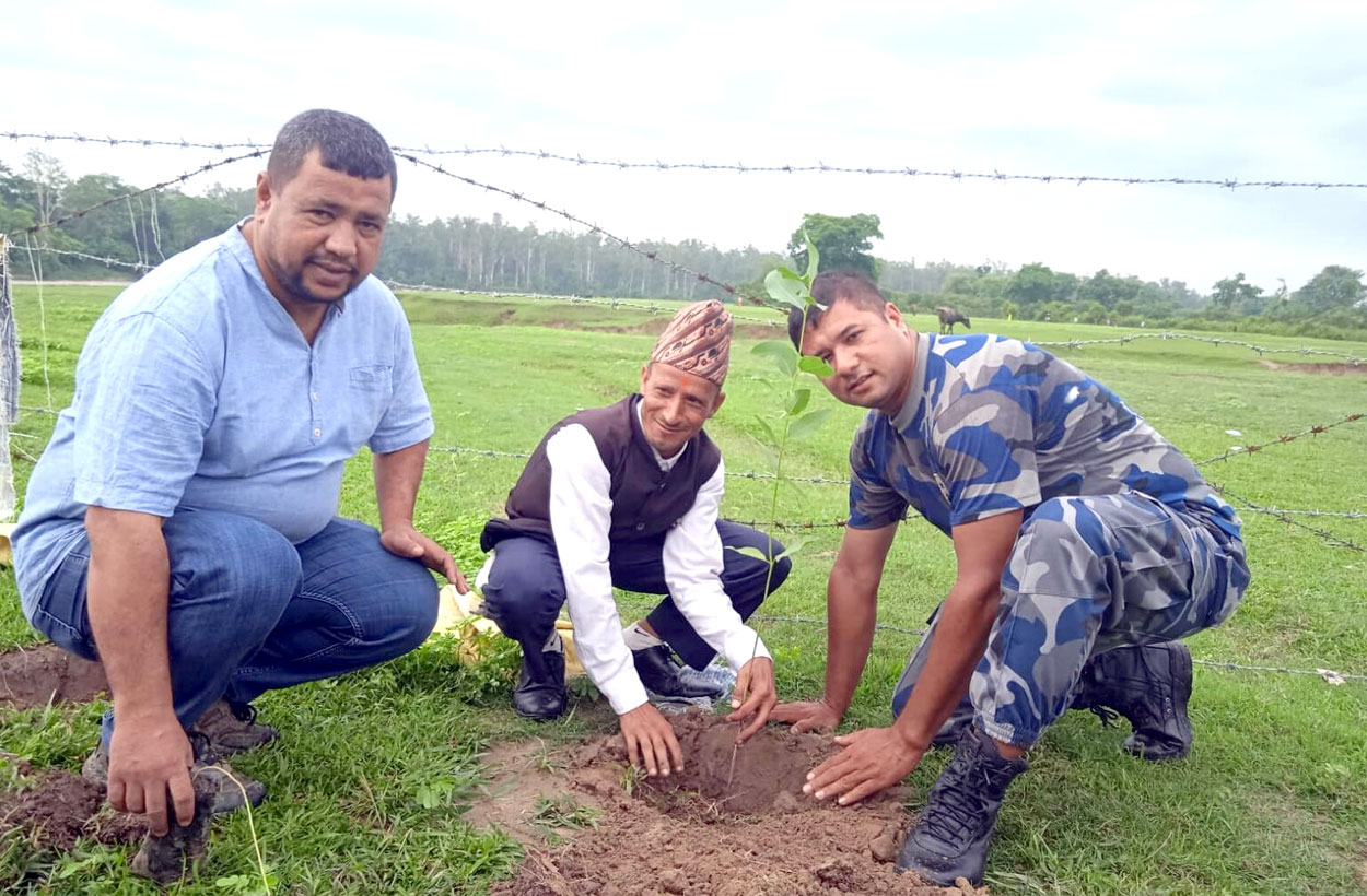 लायन्स क्लब अफ धनगढी भिजनसे वृक्षारोपण