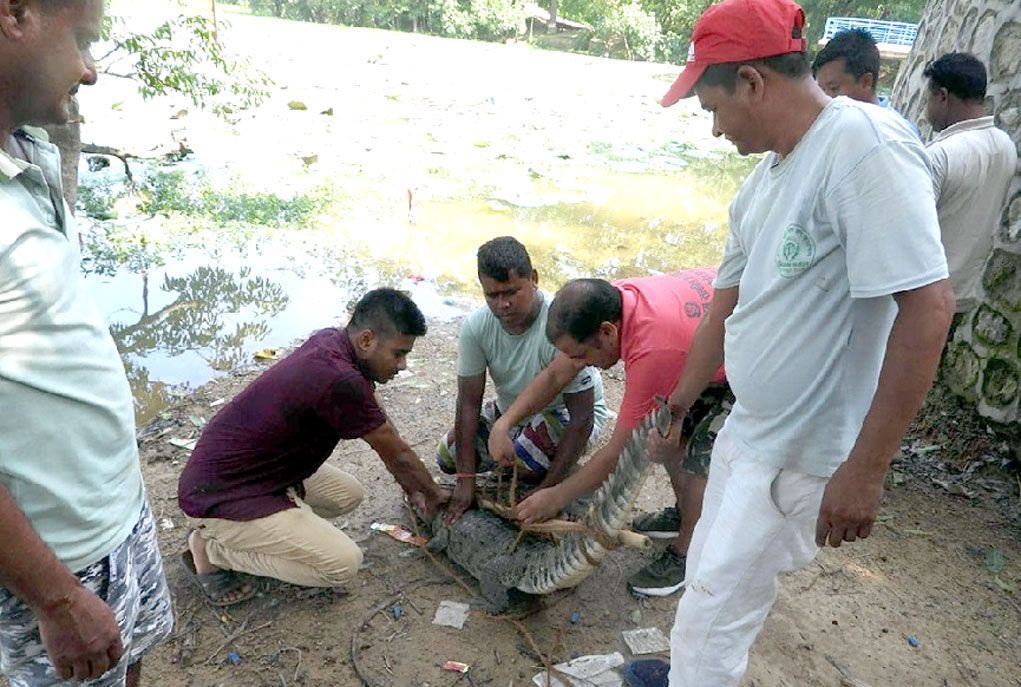 गोहुवक उद्धार