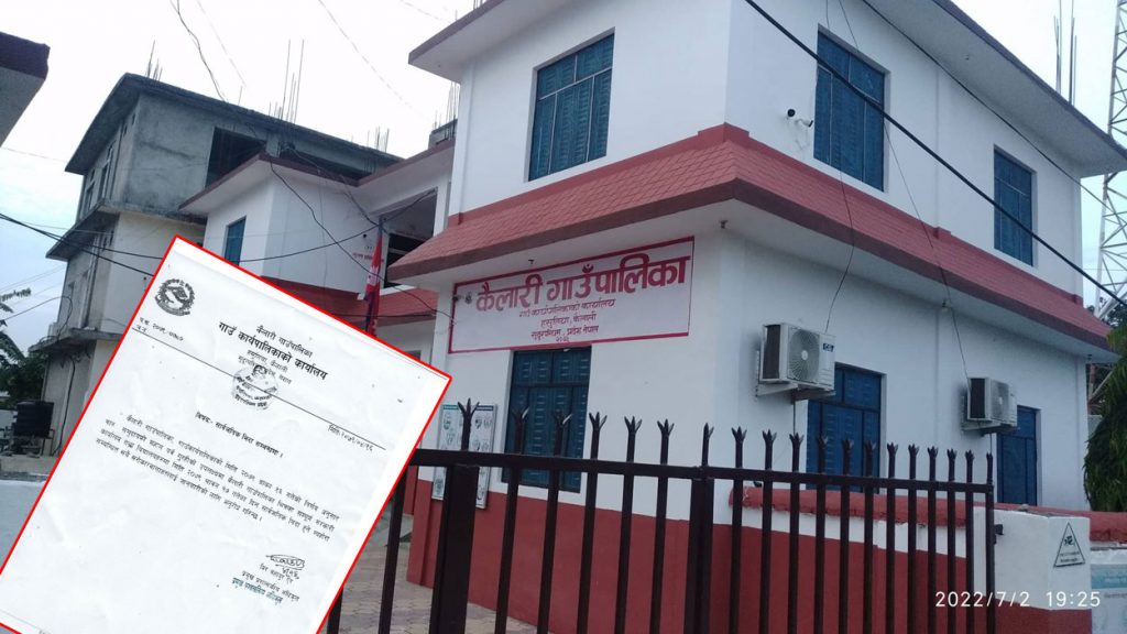 कैलारी गाउँपालिकासे गुरही पर्वके स्थानीय विदा