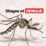 कैलालीमे ४०४ जनहनमे डेंगु संक्रमण