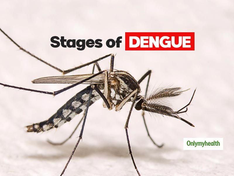कैलालीमे ४०४ जनहनमे डेंगु संक्रमण