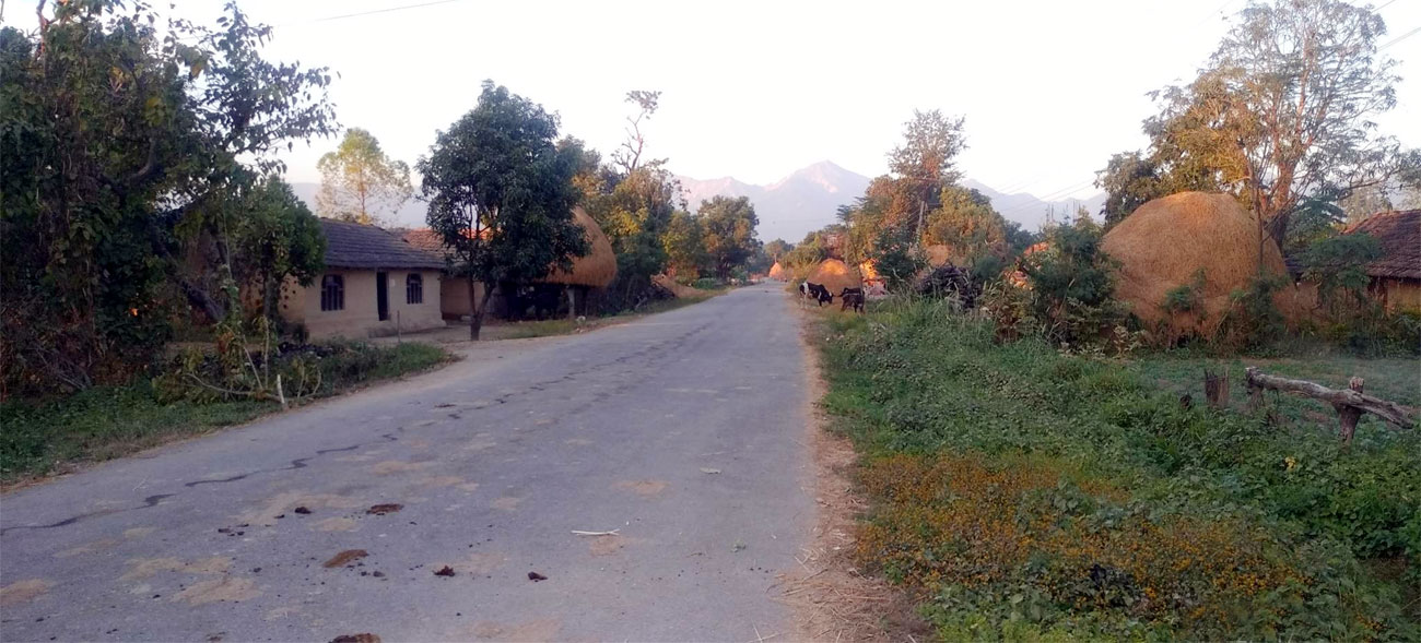 पढाई छोरटि मुक्त कमैयँनके लर्का