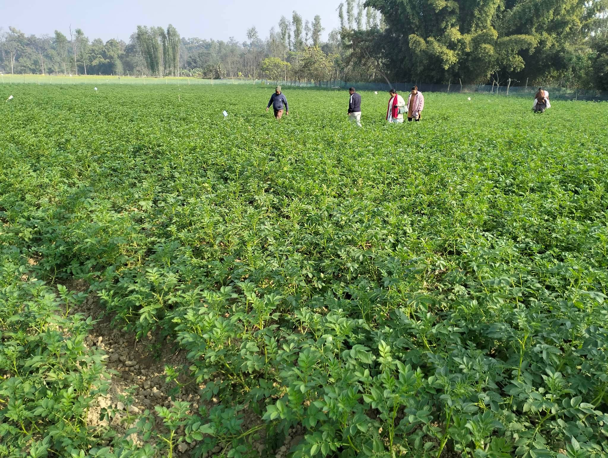 अनुगमन टोलीसे योजनाके अनुगमन