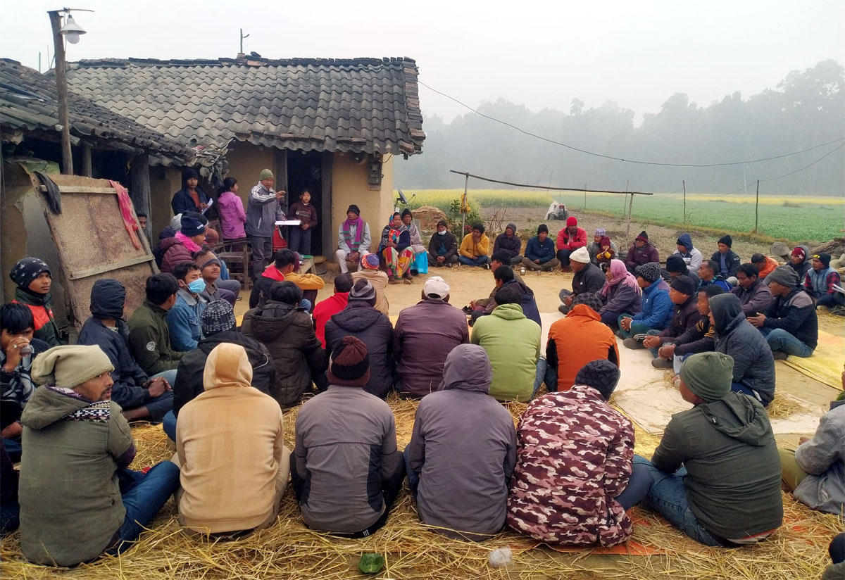 थारु गाउँमे लौवा भल्मन्सा छन्ना सुरु