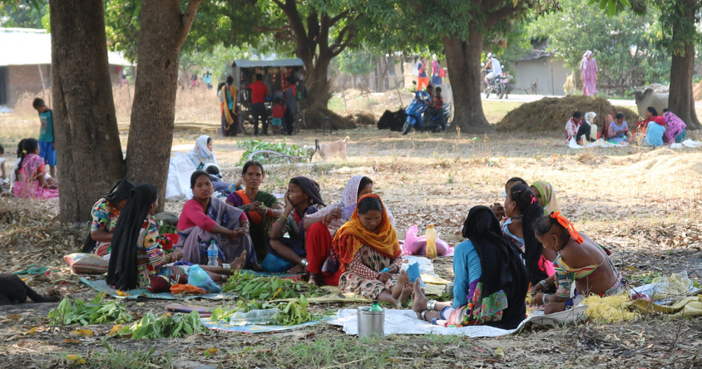 रानाथारु समुदाय चराइँ पर्व मनैलै