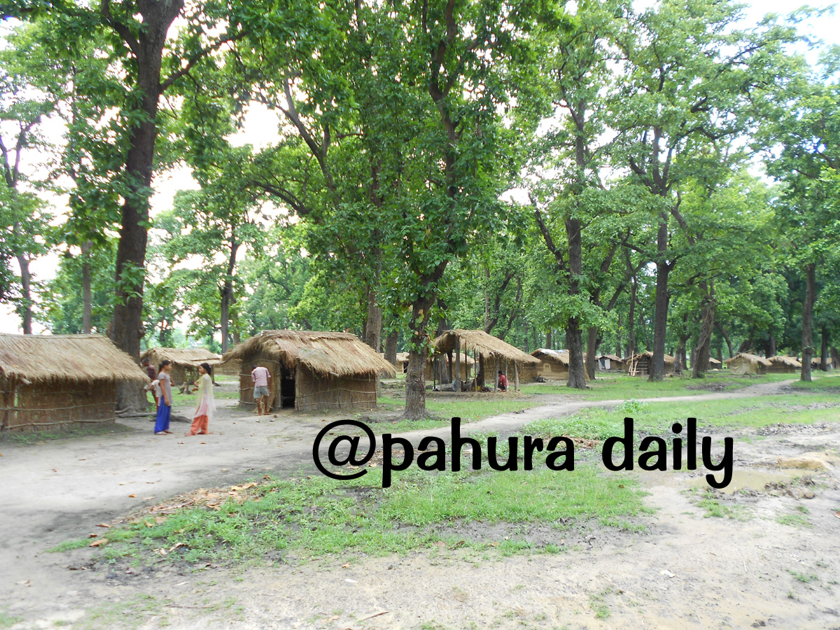 बसन्ता वन क्षेत्रके अतिक्रमण हटैना एक हप्ते अल्टिमेटम