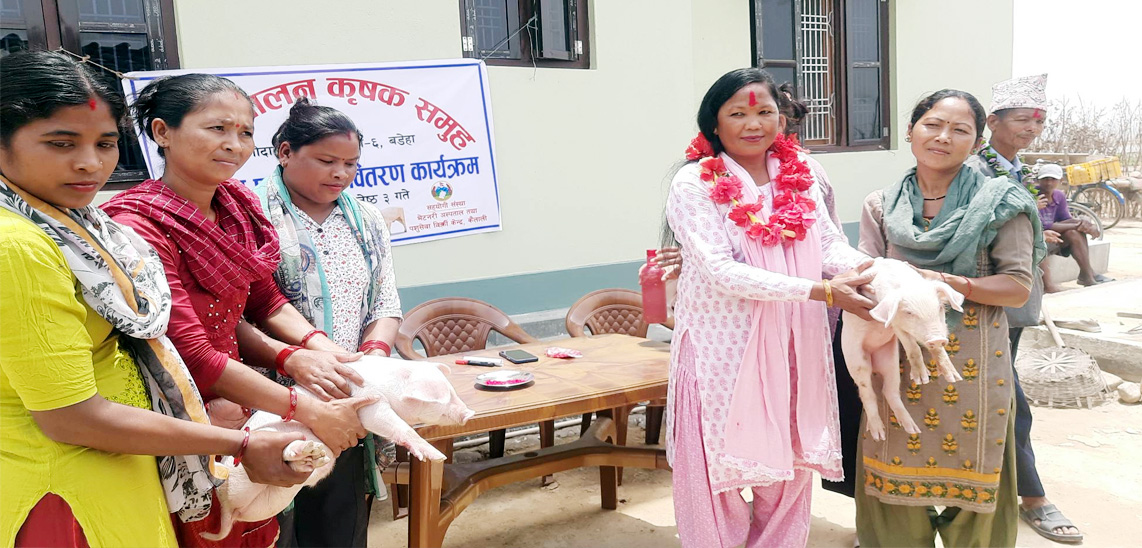 गोदावरीके किसानन्हे घेँट्रु वितरण