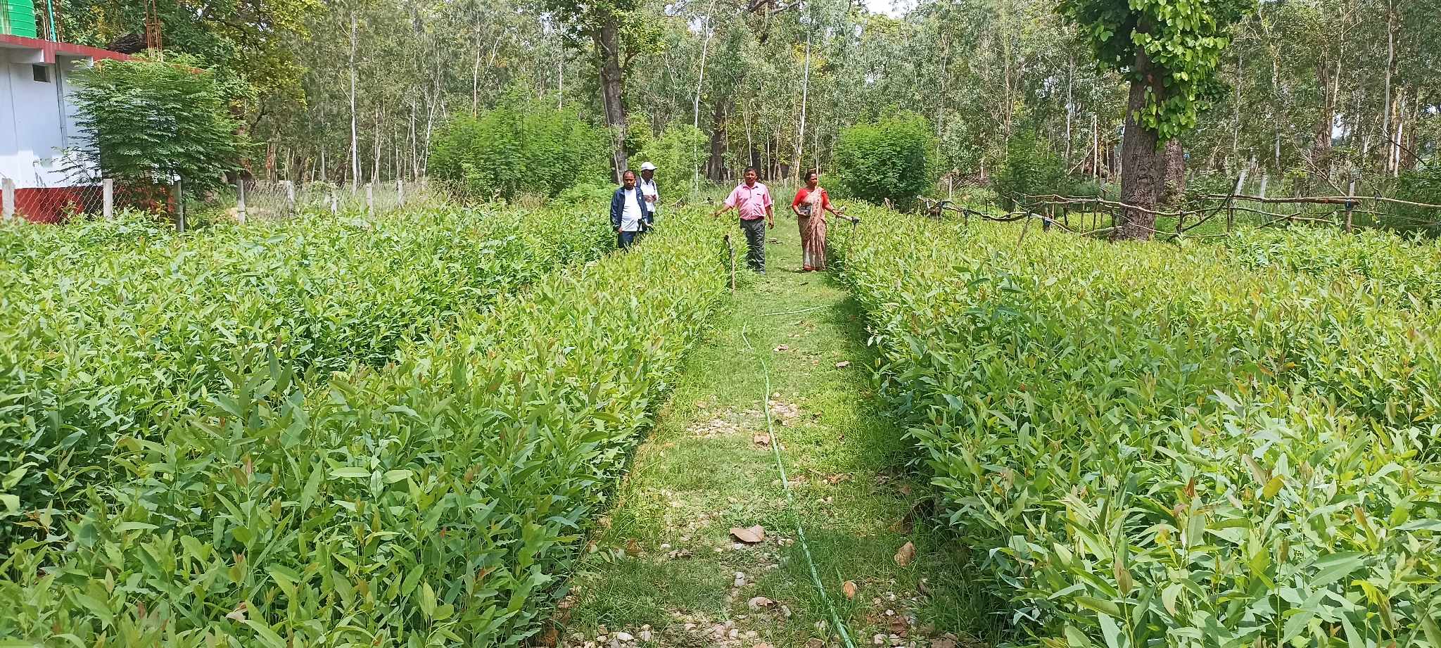 अनुगमन समितिसे नर्सरी ओ विद्यालय भवनके अनुगमन