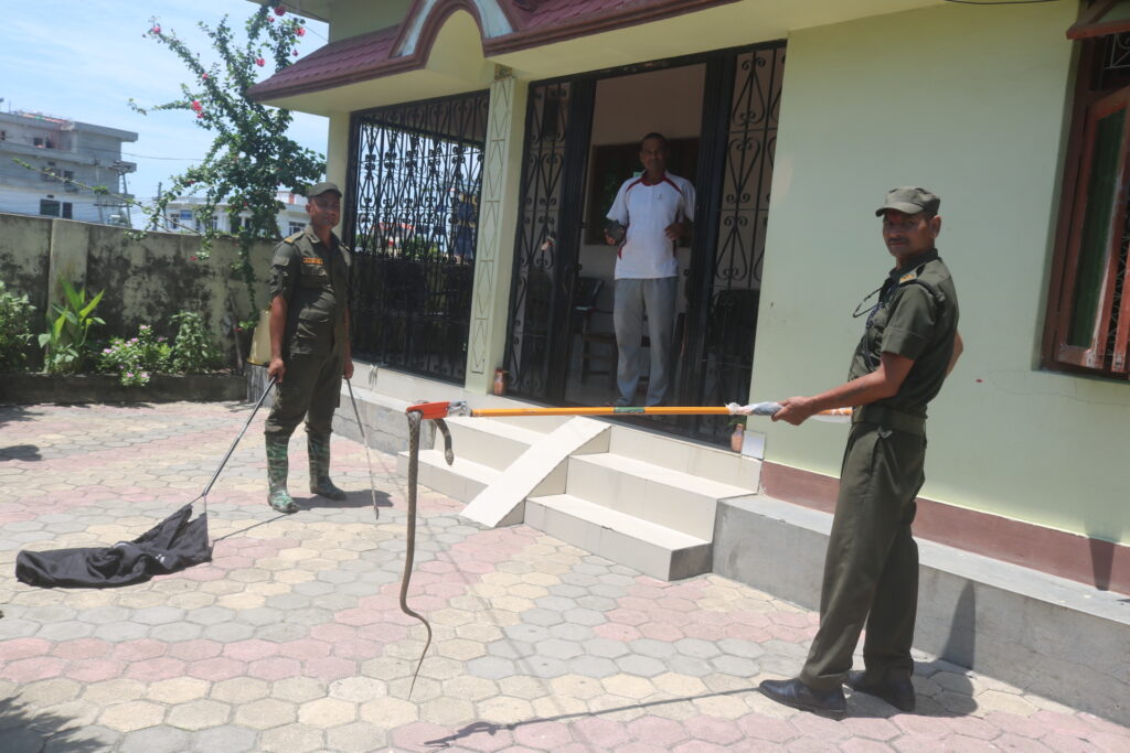 नगर प्रहरीसे सात दिनमे ४७ सापनके उद्धार