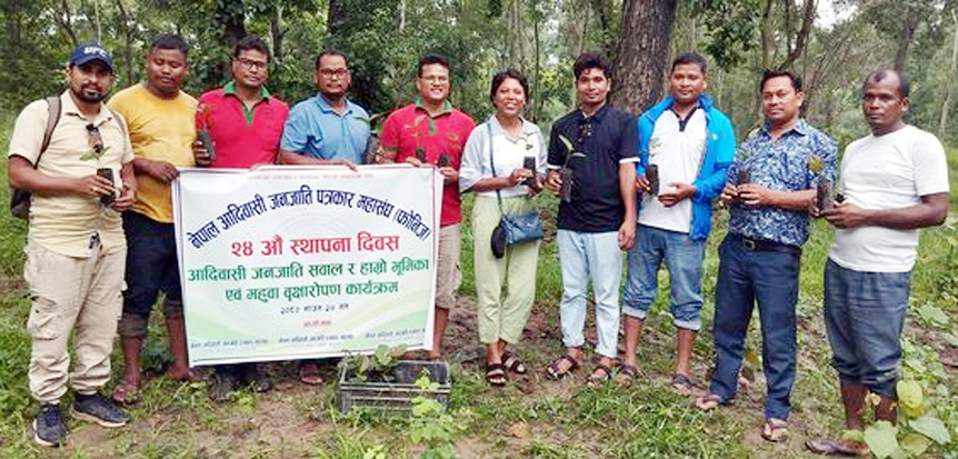 फोनिज दिवसमे महुवाके टेलुवा लगागिल
