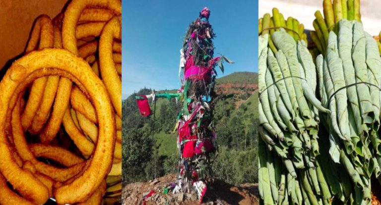 सुदूरपश्चिममे ओल्के पर्व मनागिल