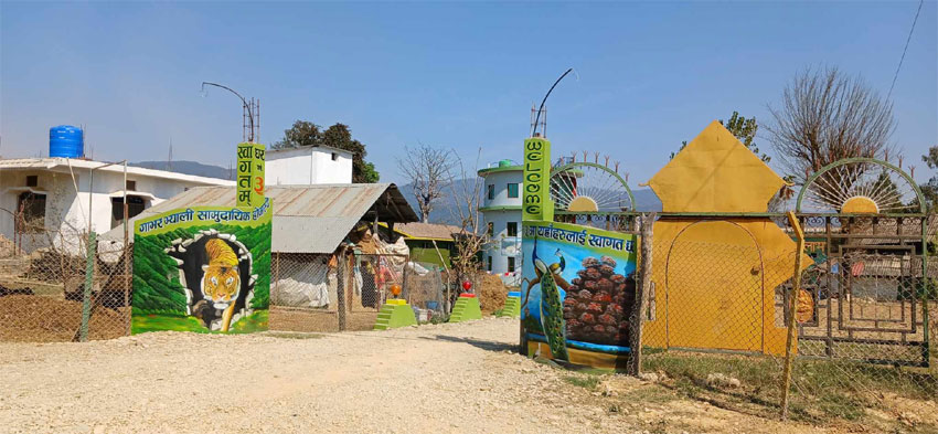 कोरोनापाछे लयमे लौटटी गाभरभ्याली होमस्टे
