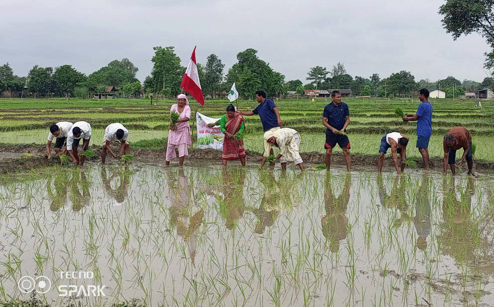 नेपाली काँग्रेस कैलारी गाउँपालिकासे २१औं धान दिवस मनागिल