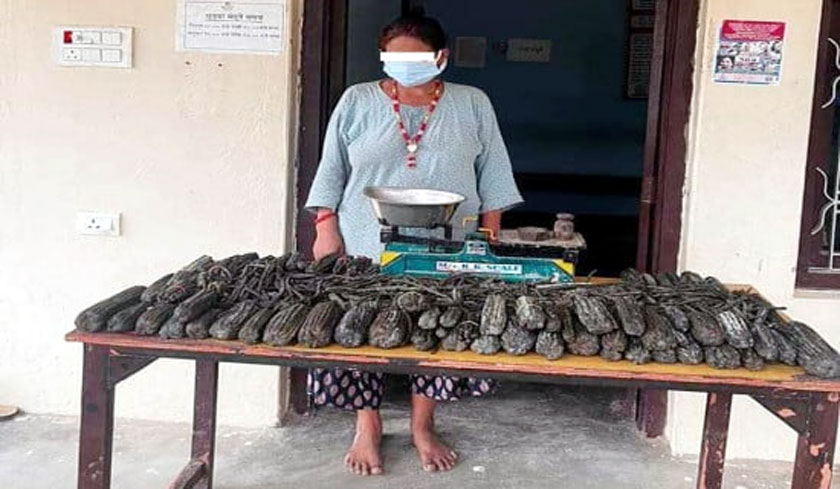 १६ किलो चरेससहित एकजाने पक्राउ