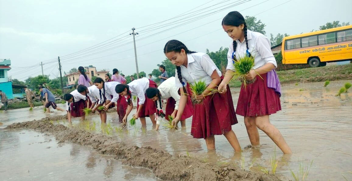 एभरेष्ट एकेडेमीसे धान रोपाइँ सप्ताह सुरु