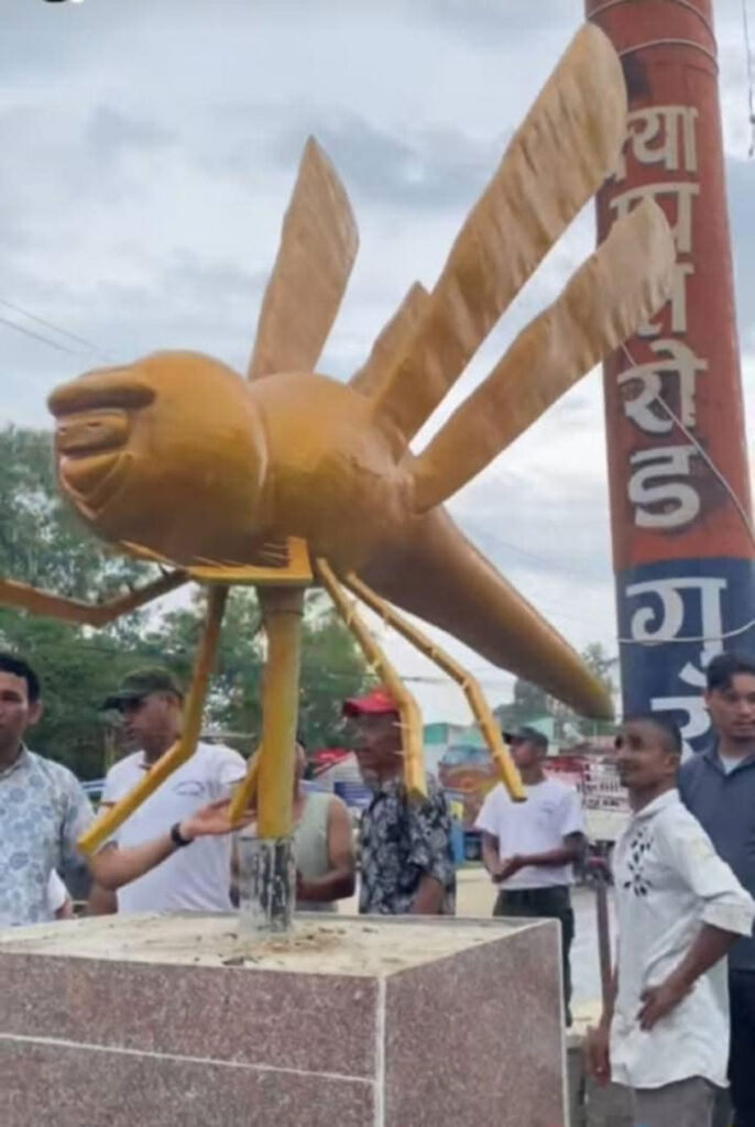 धनगढीमे गुरहीके मुर्ति स्थापना