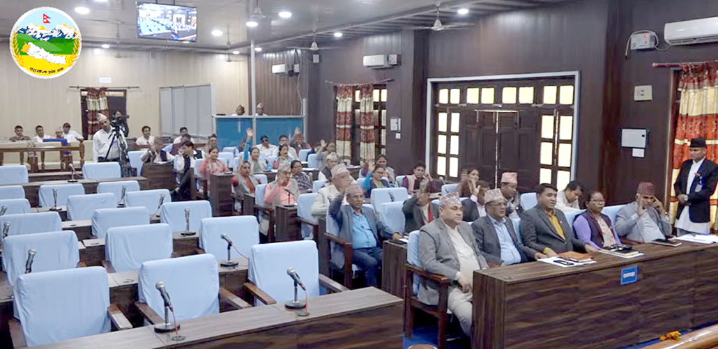 स्थानीय सेवा गठन विधेयक पारित