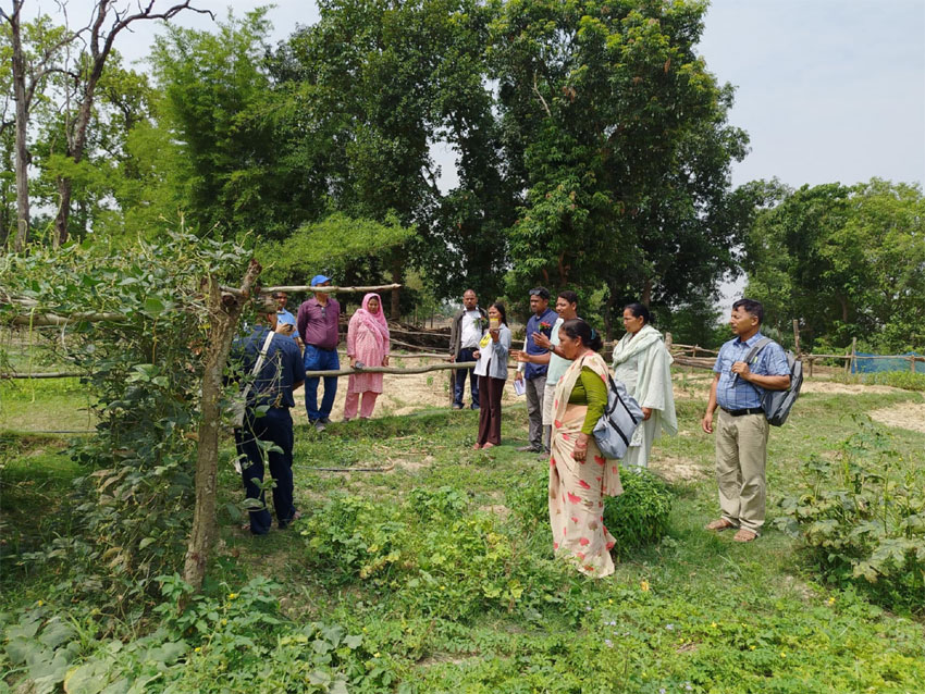 आर्ग्यनिक उत्पादनहे प्रवर्द्धन जरुरीः गापा उपाध्यक्ष भगवती