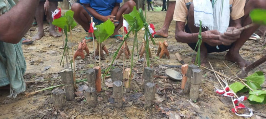 कैलालीके छटकपुर बसन्तामे हरेरी पुजा सुरु