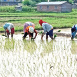 खेटुवामे गुन्जे छोरल सजना