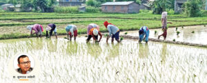 खेटुवामे गुन्जे छोरल सजना