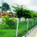 धनगढीहे सुन्दर ओ पर्यावरणमैत्री बनैना वृक्षारोपण कैटी