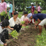 ऐंठा जैविक पार्कमे ३ हजार फुलाके टेलुवा लगागिल