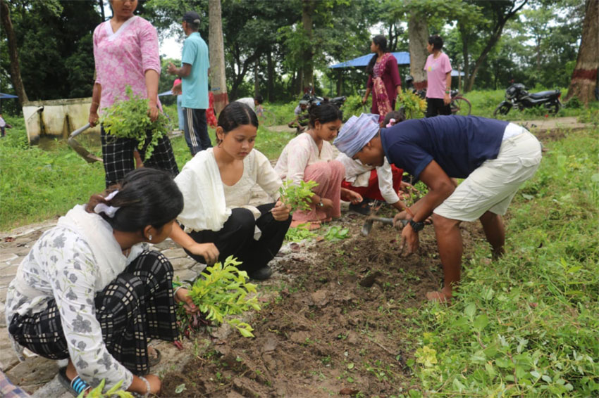 ऐंठा जैविक पार्कमे ३ हजार फुलाके टेलुवा लगागिल