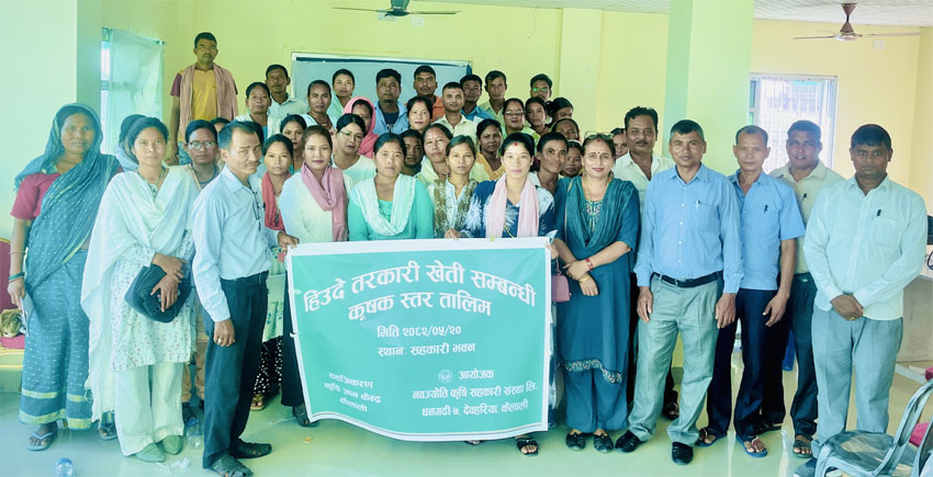 नवज्योति कृषि सहकारीसे हिउँदे तरकारी खेती सम्बन्धी तालिम