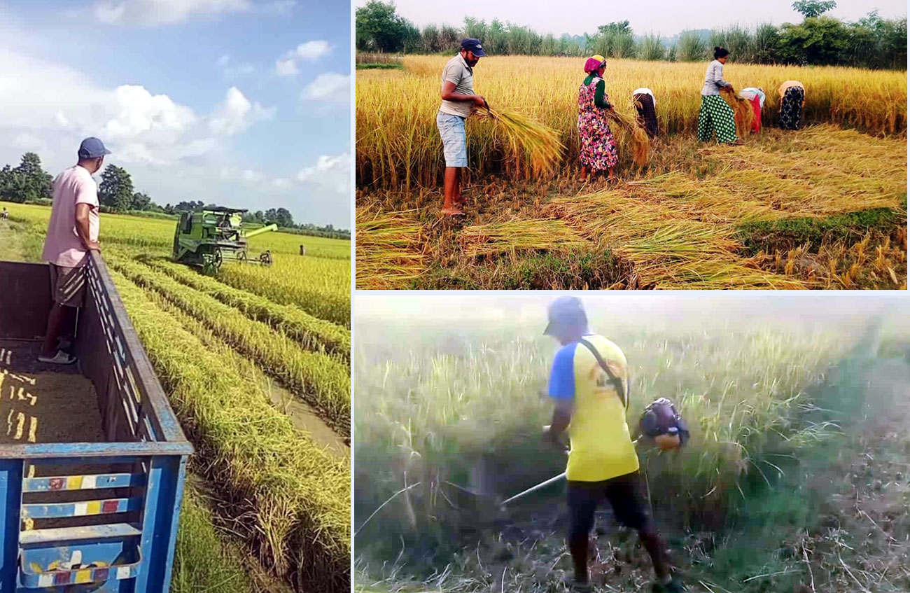 आधुनिक कृषि औजारके प्रयोगसे कृषि कार्यमे सहजता