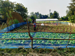 पोषण बगैचासे डाई ओ लर्कनहे फाइदा